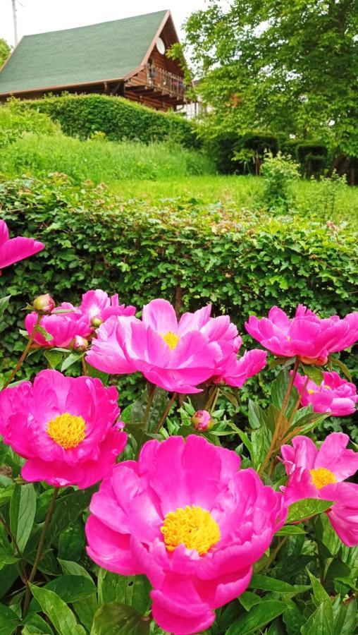 Apartman Relax in Nature Jajce Bagian luar foto